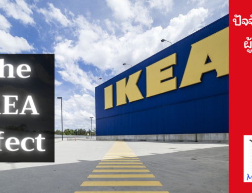 The IKEA Effect – ทำอย่างไรให้ผู้บริโภคจ่ายแพงกว่า